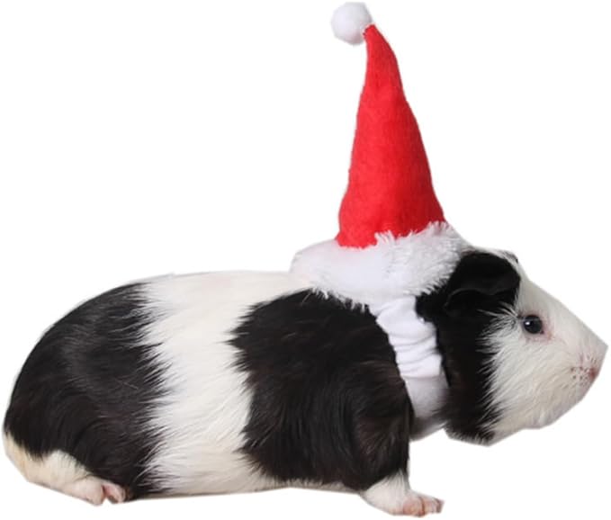 ANIAC Christmas Hamster Hats Guinea Pig Costume Mini Santa Hat for Kitten Chinchilla Rabbit Bunny Hedgehog Ferret Squirrel Rats Duck Newborn Puppy…