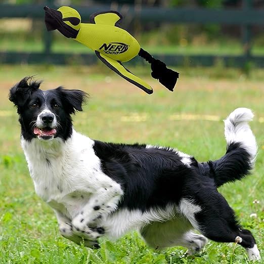 Nerf Dog Trackshot Launching Duck Dog Toy, 16.5 Dog Fetch Toy for Medium and Large Breeds, Green