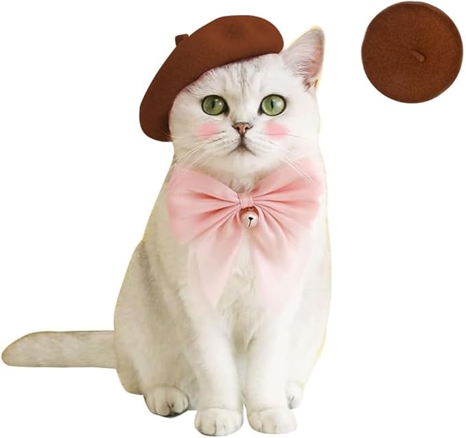 Dog Beret Hats Cats Hats Fashion Four Seasons Funny Wool Comfortable Pet Hat (Brown)