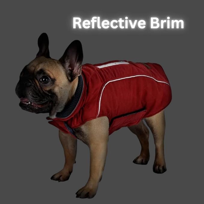 Winter Coat Warm Jacket for Dogs Cats Pets Cold Weather with Reflective Brim (X-Small, Yellow)