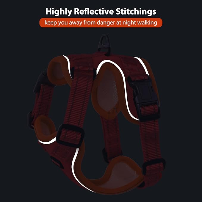 Rttochfy Cat Harness and Leash Set, Adjustable and Reflective Cat Vest, Escape Proof Kitten Harness, Easy to Put on with 3 Buckles for Cats Walking and Traveling (Orange, M)