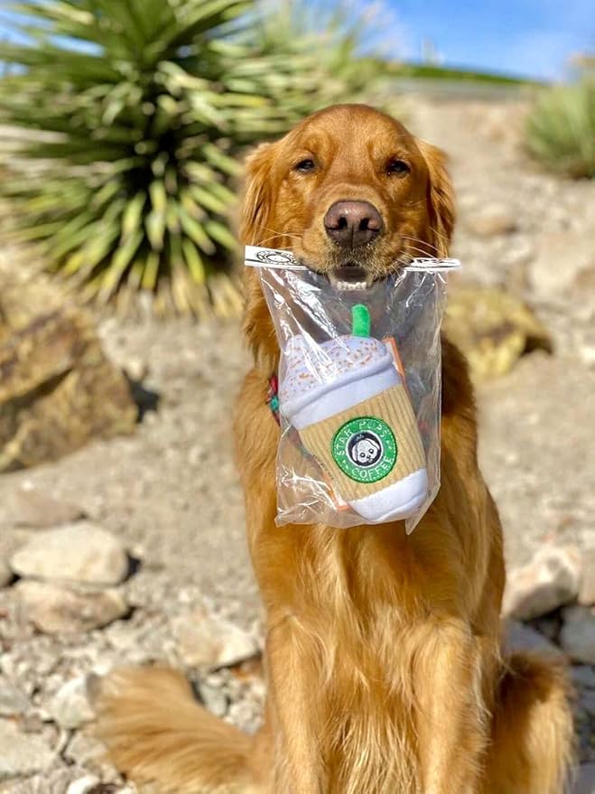 Nestpark Parody Star Pups Coffee Dog Toy Pup'kin Spice Latte - Funny Plush Squeaky Crinkle Dog Toys for Medium, Small and Large for Dog Birthday