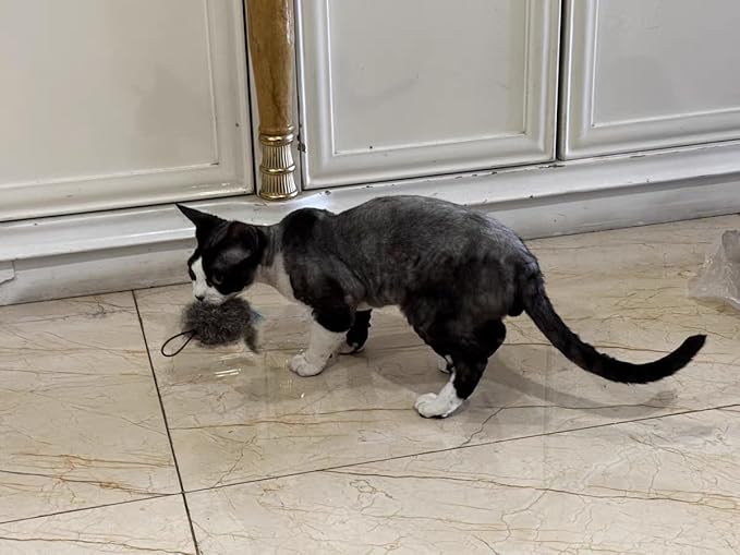 Real Rabbit Fur Mouse Cat Toy - 5 Pack with Crinkle Sound, Rattle & Rope, Extra-Wide Durable Tail, Interactive Hunting Toys for Indoor Cats (No Catnip)