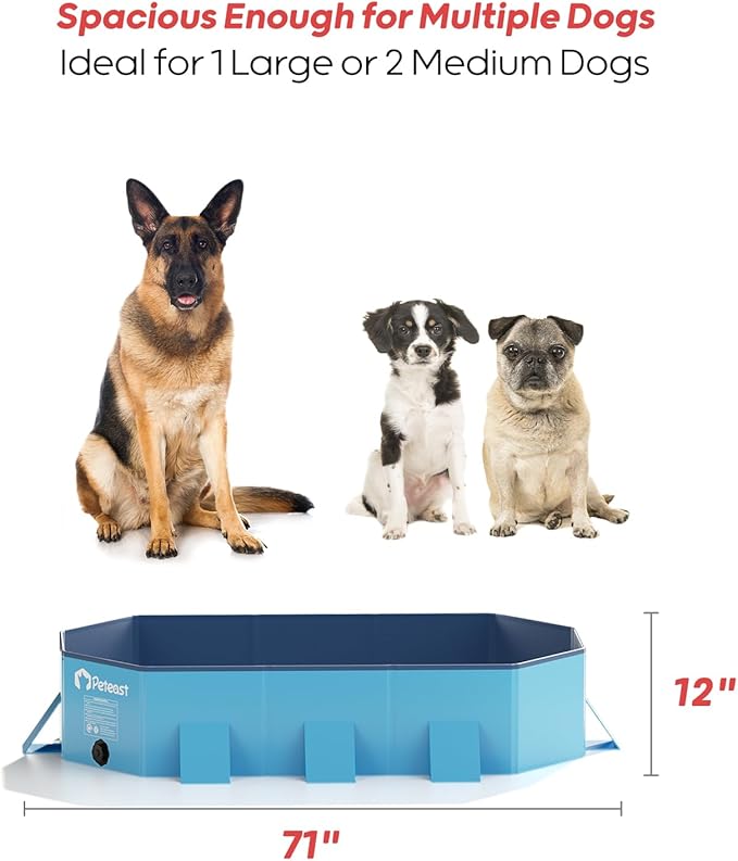 Peteast Foldable Dog Pool - Extra Large 71" x 39" x 12" Hard Plastic Portable Pet Bath Tub with Non-Slip & Reinforced Stability, Collapsible Design for Indoor Outdoor Backyard Use (Blue)