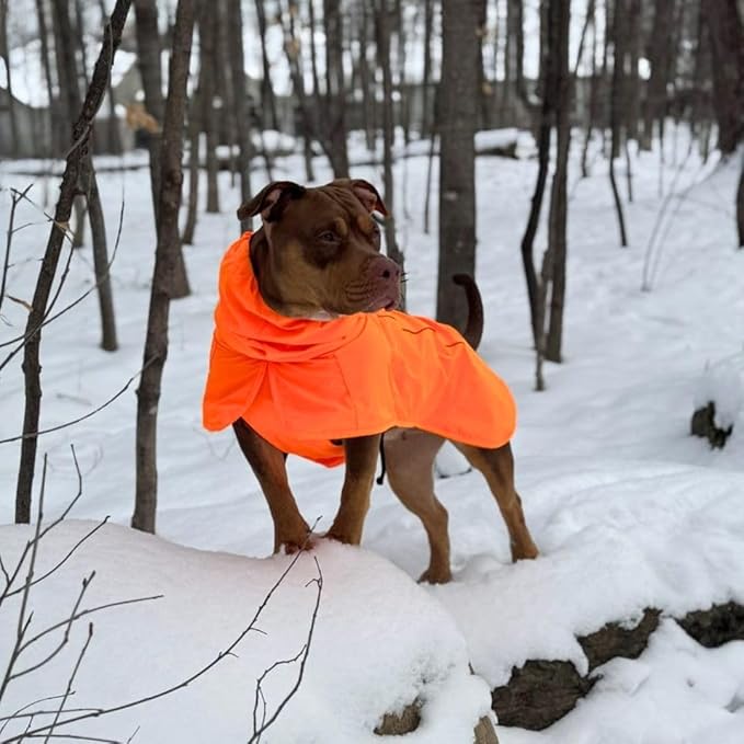 Spark Paws Dog Raincoat, Waterproof Windproof Rain Jacket, for Small Medium Large Extra Large Dogs, Reflective Breathable Full-Body Coverage Dry Suit - Orange - L