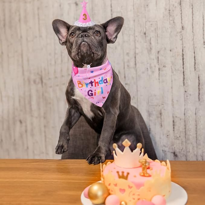 Dog Birthday Decorations, Dog Birthday Hat with Numbers for Large Medium Small,Pet Supplies (Pink)