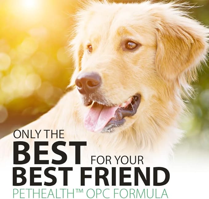 Pet Health OPC Formula with Glucosamine for Dogs & Cats, Beef Flavor – Joint Support, Healthy Circulation, Antioxidant Protection, Supports Cardiovascular & Visual Health (90 Servings)
