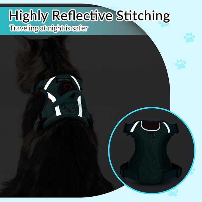 Cat Harness and Leash Set with AirTag Holder: Upgraded Escape Proof Vest with Lead for Small Dog Puppy Large Cat Walking,Soft Breathable Mesh Coat with Reflective Strip (Green, L)