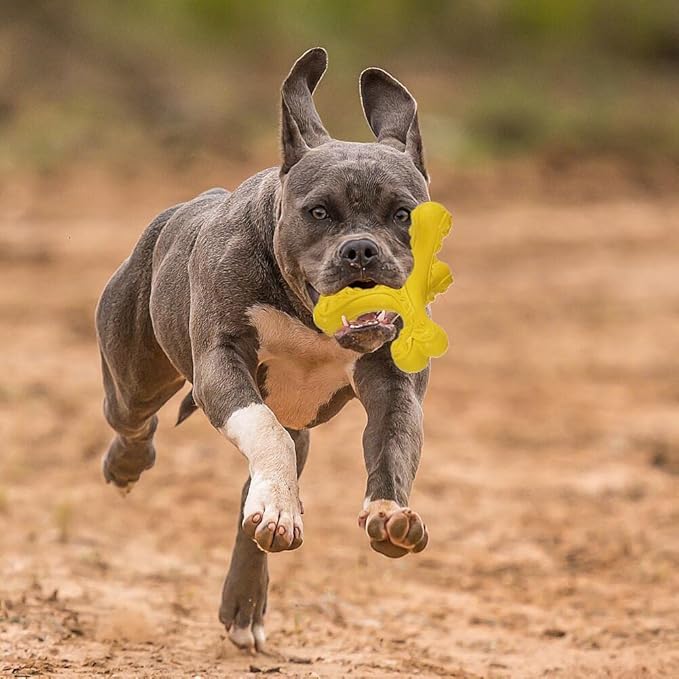 Dog Chew Toys for Aggressive Chewers Large Breed,Indestructible Bones Toy,Durable Cleaning Toothbrush Natural Rubber Dog Toys… (Yellow)