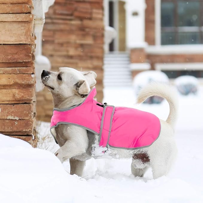 MIGOHI Warm Dog Coat Winter Dog Jacket,Waterproof Cold Weather Coats for Dogs,Fleece Jacket for Small Medium Large Dogs,Reflective Thick Fleece Vest with Leash Hole