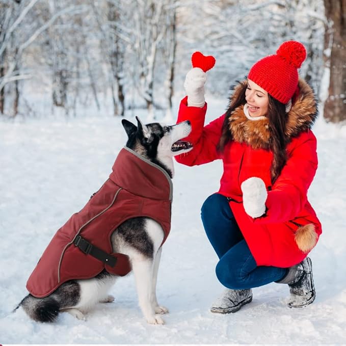 EMUST Winter Dog Jacket, Windproof Dog Apparel for Cold Weather, Reflective Warm Coats for Dogs, Warm Puppy Jacket for Cold Winter, Burgundy, S