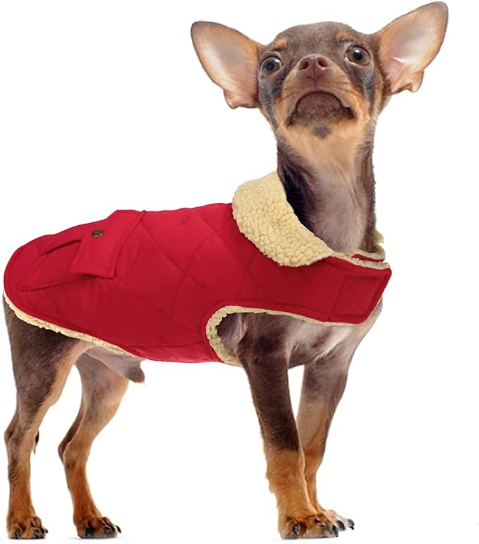 Queenmore Warm Dog Coat, Cold Weather Puffer Jacket with Ultra Thick Plush Lining and Storage Pockets (Red, Medium)