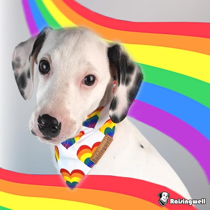 Pride Dog Bandanas 2 Pack, 4 Pattern Reversible LGBTQ+ Rainbow for Boy and Girl, Premium Long-Lasting Fabric, Summer Triangle Scarf for Medium to X-Large Breed Dogs (Large)