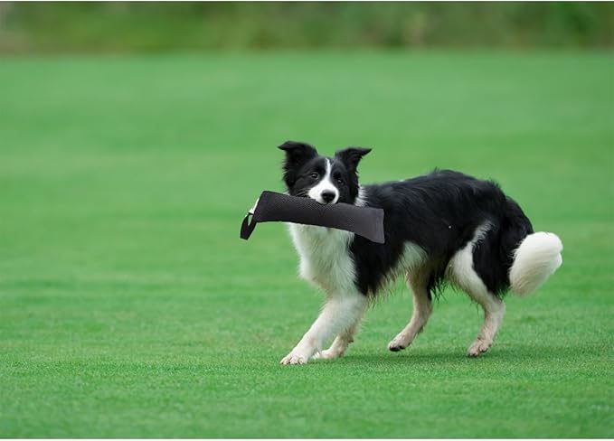 Durable Dog Bite Wedge Tug Toy, Nylon Fabric, Suitable for Small to Medium Dogs, Pillow, K9, Sleeves, Toys (Black)