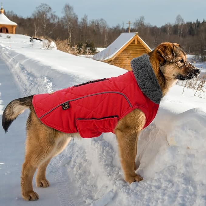 EMUST Winter Dog Coat for Medium Boys - Thick Clothes with Harness Hole for Cold Weather, Red, M