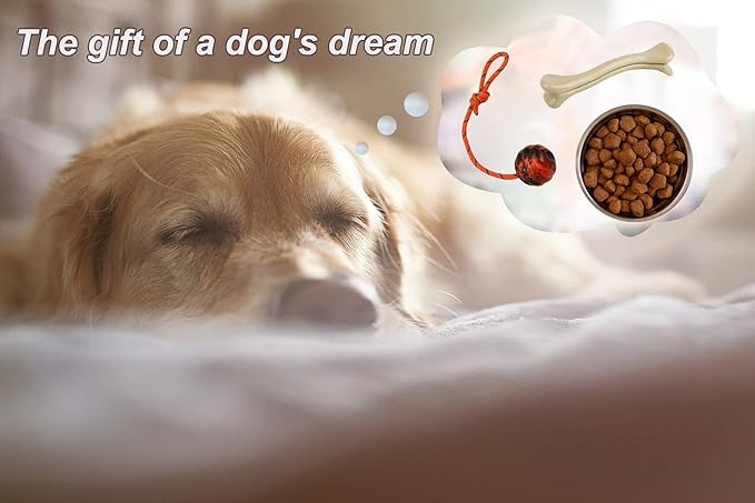 2Pcs Dog Training Ball on Rope - Exercise & Reward Toy for Dogs - Chew, Pull, Throw, Tug & Fetch - Belgian Malinois Gifts