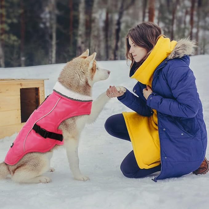 EMUST Winter Dog Jacket, Windproof Dog Apparel for Cold Weather, Reflective Coats for Dogs, Warm Puppy Jacket for Cold Winter, Pink, S