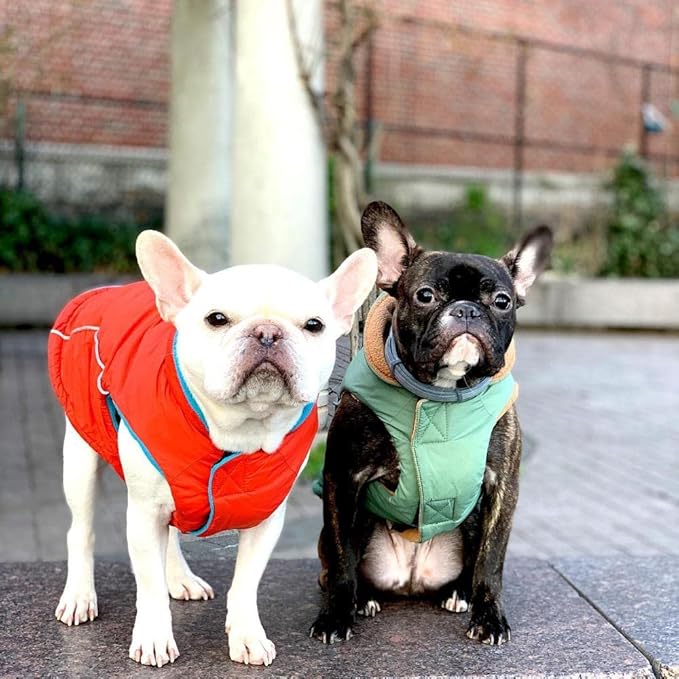 Gooby Sports Vest Dog Jacket - Red, X-Small - Reflective Dog Vest with D Ring Leash Warm Fleece Lined Hook and Loop Closure for Small to Medium Dogs