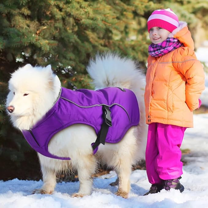 EMUST Winter Dog Jacket, Windproof Dog Apparel for Cold Weather, Reflective Coats for Dogs, Warm Puppy Jacket for Cold Winter, Purple, S
