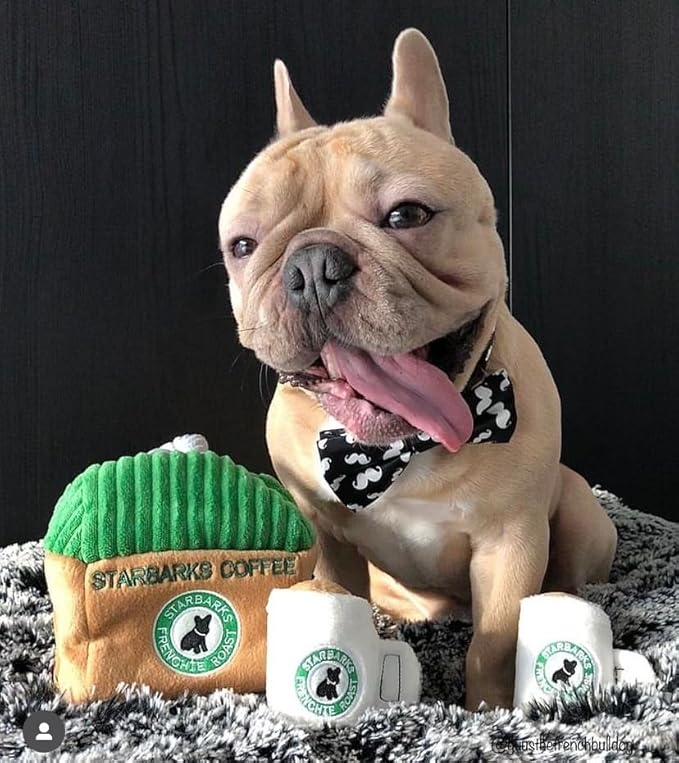 Haute Diggity Dog Starbarks Activity House, Plush Designer Dog Toys with Interactive Squeaker, Stimulating Pet Enrichment, Machine-Washable & Safe Materials for All Breeds, One Size