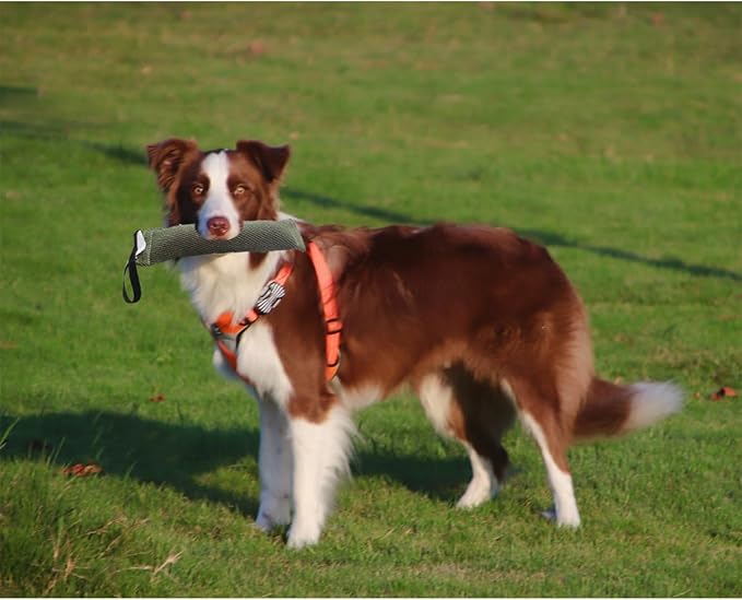 Durable Dog Bite Wedge Tug Toy, Perfect for Small to Medium Dogs