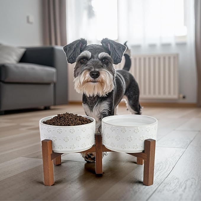 SPUNKYJUNKY Ceramic Dog Bowls with Acacia Wood Stand Raised Food and Water Bowl for Small Medium Sized Dog (Deep, 15.5cm)