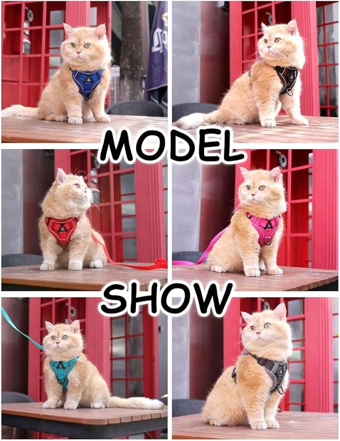 Cat Harness and Leash Set: Upgraded Escape Proof Vest with Lead for Large Cat Small Dog Puppy Walking, Soft Jacket Reflective Strips, Black (M)