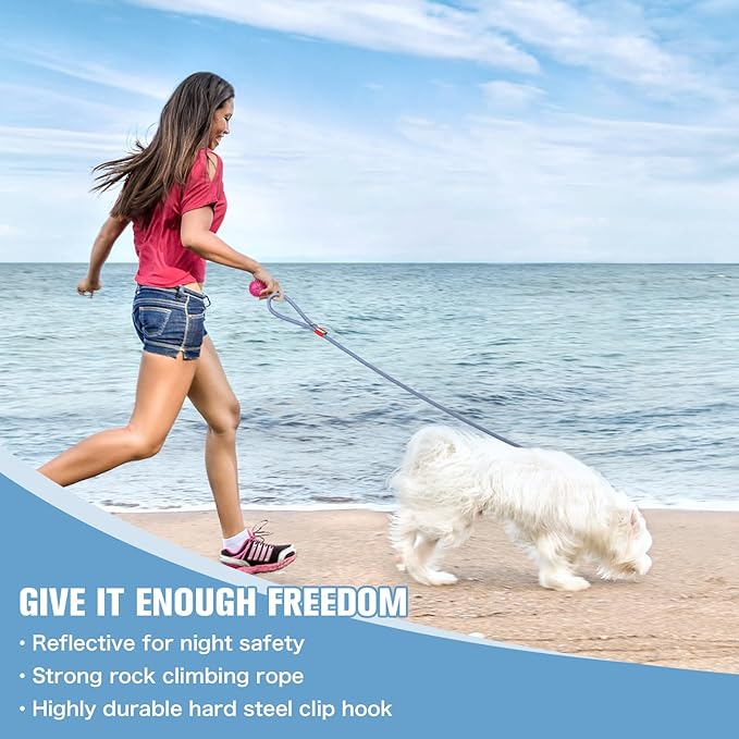 Nylon Rope Dog Leash Reflective, Handmade Braided Strong Dog Lead, Heavy Duty Rope Leash for Medium Large Dogs (5 FT - 3/5" Blue)