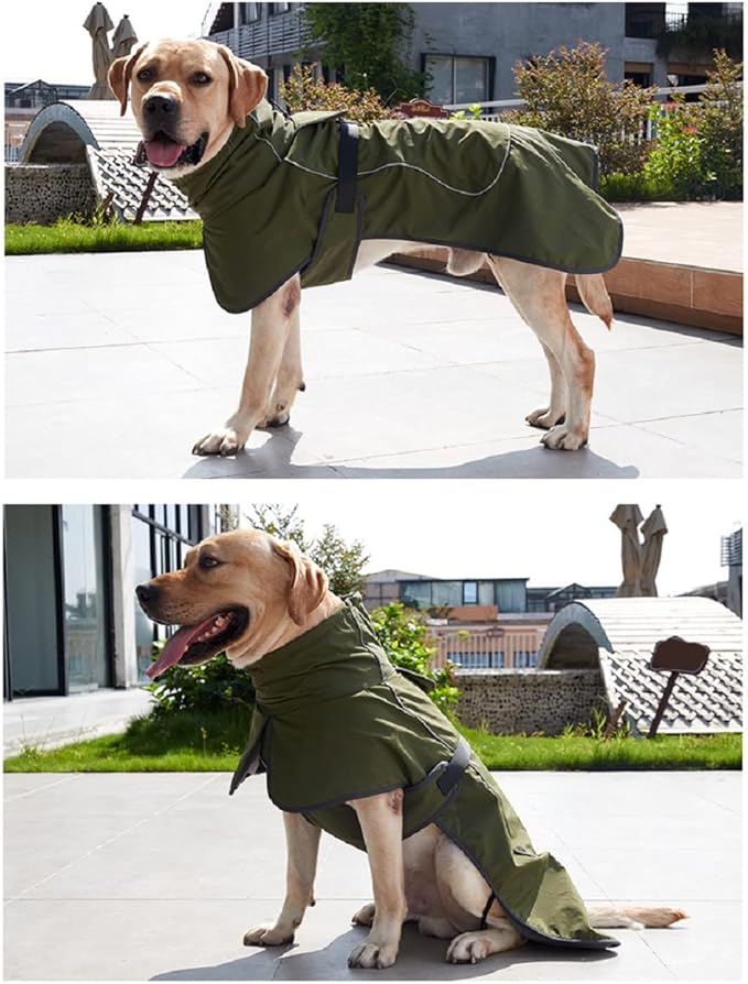 Green S Dog Raincoat - Waterproof Winter Jacket with Velvet Inner, Reflective Strip