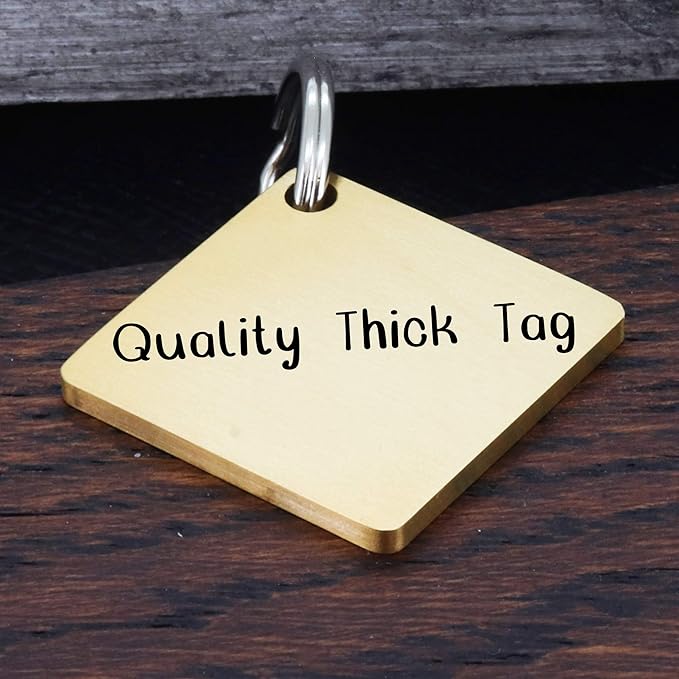 Ultra Joys Dog ID Tag, Custom Dog Tag Personalized Cat Tag, Pet ID Tag, Brushed Stainless Steel Diamond Dog Tag Gold Small