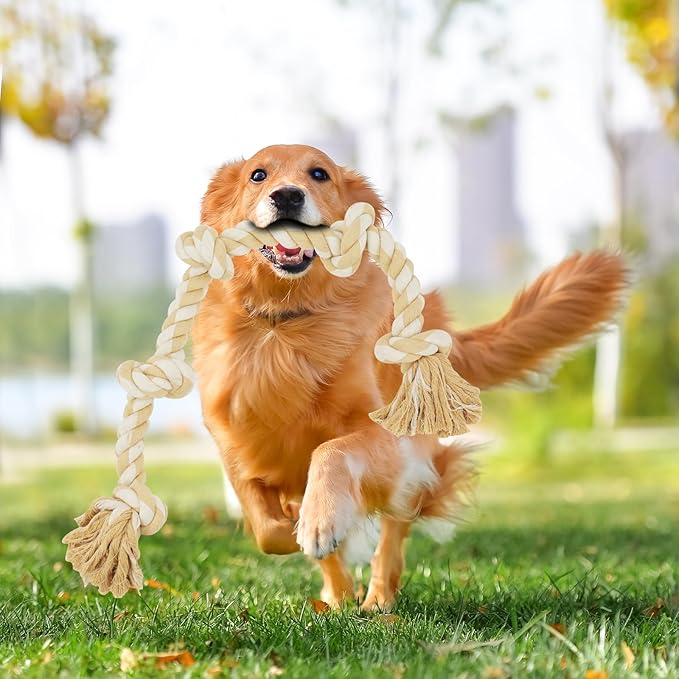 Bmag Dog Rope Toys for Aggressive Chewers, Tough Rope Chew Toys for Medium Large Dogs, Heavy Duty Tough Dog Tug of War Toy with 5 Knots for Teeth Cleaning