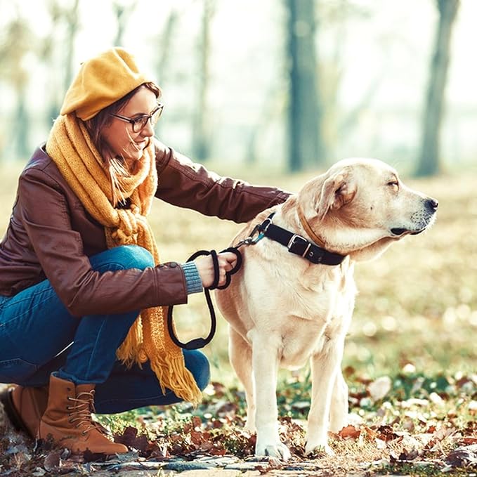 Gabbro Carabiner Clips Heavy Duty, | Wiregate Snap, Screw Locking, Aluminum, Lightweight Caribeener | for Hammock, Hiking, Camping, Water Bottle, Dog Leash Harness, Keychains