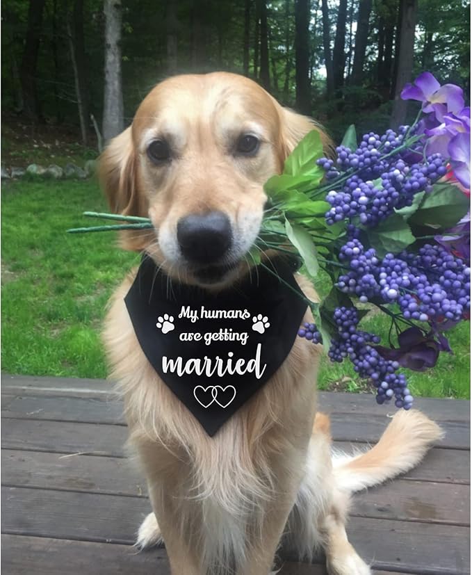 My Humans are Getting Married Dog Wedding Bandana Collar, Adjustable Engagement Pet Bandana with Quick Release Buckle & D-Ring for Dogs & Cats