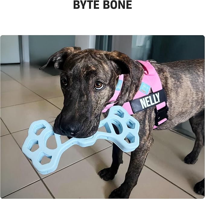 Dog Friendly Co Byte Bone | Tug of War Dog Toy | Chew, Tug & Fetch | Made from Heavy-Duty Rubber for Aggressive Chewers | Interactive Play | Keeps Dogs Active, Strong & Engaged | Blue | 1 Count