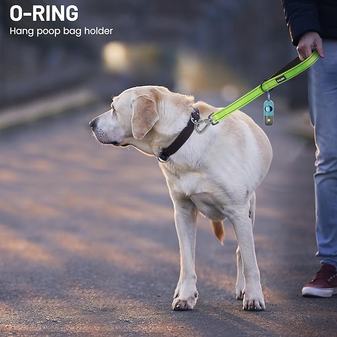 ZALER Short Dog Leash 2 ft, 24 Inches Traffic Leashes for Dogs, Nylon Reflective Dog Lead with Padded Handle, Heavy Duty Pet Leash with Carabiner Clip for Large and Medium Dogs (24" Green)