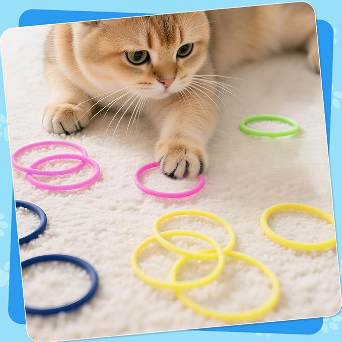 Cat Toys 24 PCS, Rubber Cat Chew Toy, Interactive Cat Toys to Kill Time, Colorful Bracelets Bands for Cat (Jelly Bracelets)