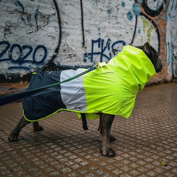 Spark Paws Dog Raincoat, Waterproof Windproof Rain Jacket, for Small Medium Large Extra Large Dogs, Reflective Breathable Full-Body Coverage Dry Suit - Neon White Navy Blue, M