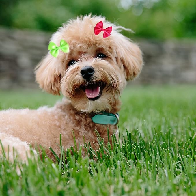 PET SHOW 20pcs Dog Hair Bows with Alligator Clips for Small Medium Dogs Bowknot Hair Clips Cat Puppy Yorkshire Grooming Hair Accessories Assorted