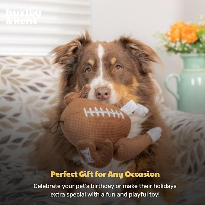 Huxley & Kent Funny Dog Toy w/Squeaker – Thanksgiving Fall Power Plush Squeaky Dog Toys for Small, Medium & Large Dogs – Soft Stuffed Animal for Indoor Play & Fetch - Turkey Bowl, Jumbo