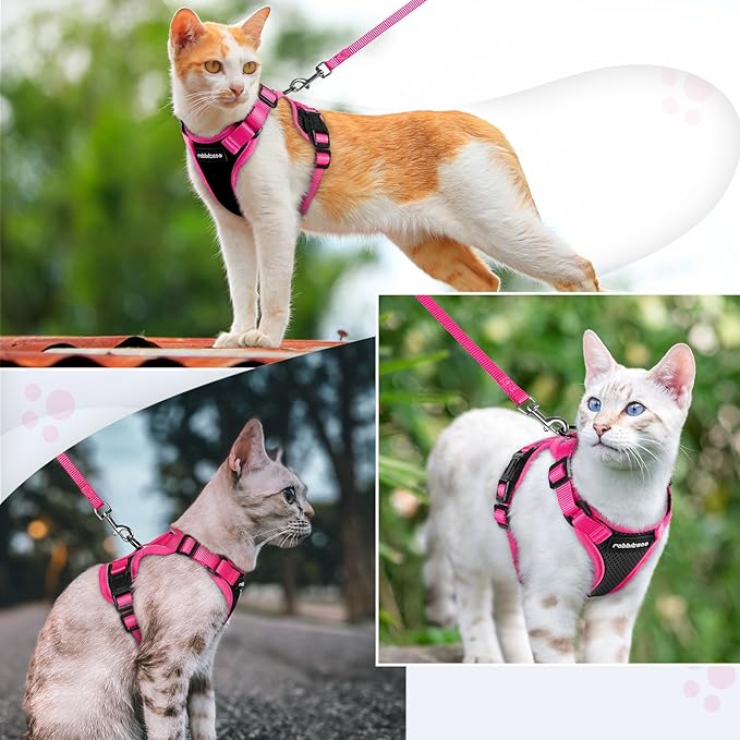 rabbitgoo Cat Harness and Leash Set, Escape Proof Soft Adjustable Vest Harnesses for Outdoor Walking, Easy Control Breathable Kitten Jacket with Reflective Strips, Black & Rose Pink, M
