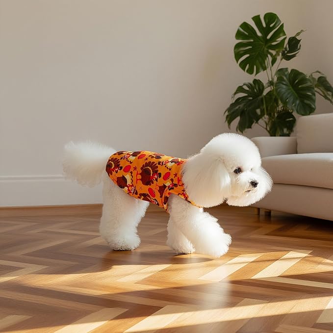 EXPAWLORER Thanksgiving Cat Sweater - Sweaters for Cats Only Soft Warm Pet Clothes, Fall and Winter Turkey Coat Pullover Design, Fleece Sweatshirt Clothing Also for Puppy Small Dogs, Large