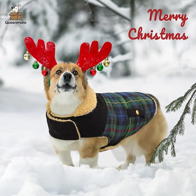 Queenmore Dog Winter Coat Warm Dog Jacket for Cold Weather, Quilting Puffer Plaid Coats for Small/Medium Dogs Waterproof,Girl/Boy Pet Christmas Coat,Pet Snowsuit with Leash Hole/Fleece Padding, XS