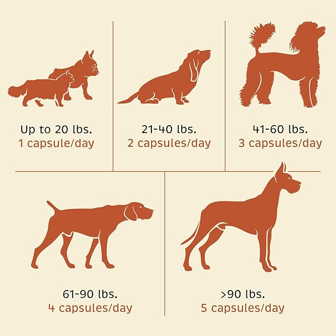 Spirited Paw Pet Wellness Bundle - Dental & Probiotic Support for Cats and Dogs - Teeth Powder & Gut Health Capsules for Oral and Digestive Health - 165 g Powder & 90 Capsules