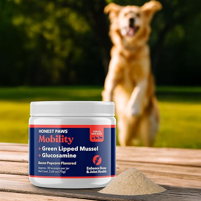 Honest Paws Glucosamine for Dogs – Joint & Mobility Supplement Powder with Green Lipped Mussel, Fish Oil & MSM – Supports Hip & Joint Health, Support Stiffness, Dog Supplies