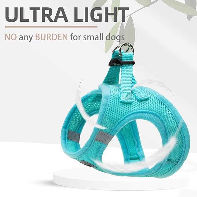 PUPTECK Adjustable Dog Harness Collar and Leash Set Step in No Pull Pet Harness for Small Medium Dogs Puppy and Cats Outdoor Walking Running, Soft Mesh Padded Reflective Vest Harnesses, Turquoise L