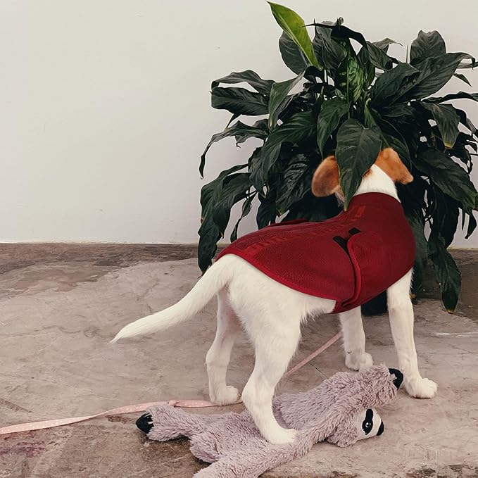 Queenmore XL Dog Sweater, Soft Fleece Vest Pullover Dog Jacket with Leash Hole, Warm Winter Dogs Clothes Cold Weather Doggy Dachshund Sweaters for Large Dogs Cats Boy or Girl (Burgundy, XL)