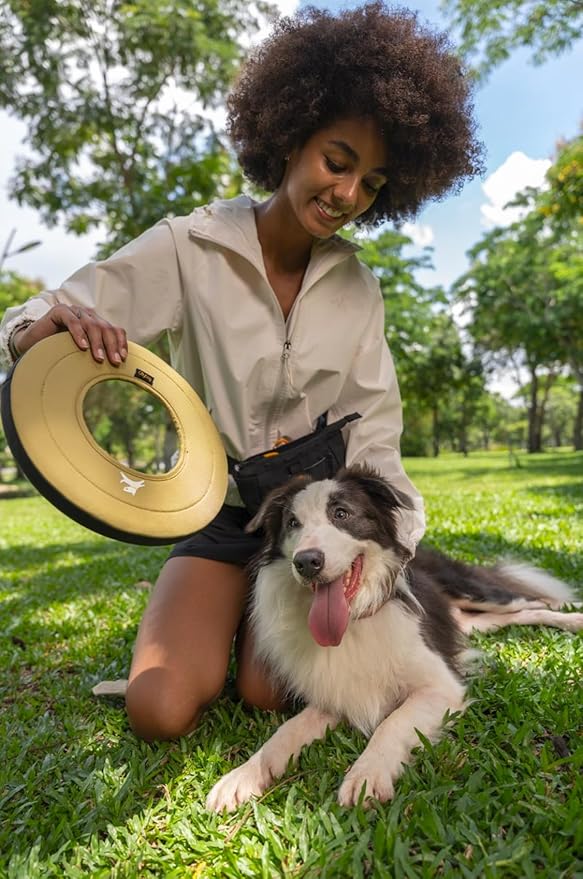 OllyDog Super Flyer Dog Frisbee Toy, 11" – Durable, Lightweight & Water-Resistant Flying Disc – Soft on Teeth & Gums – Floats on Water – Outdoor Fetch Toy for Medium & Large Dogs (Alchemy)