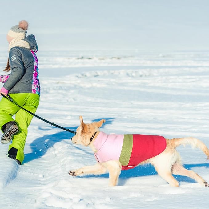 ASENKU Dog Jacket Plaid Reversible Reversible Dog Vest Waterproof Cold Winter Clothes Pet Apparel for Small Medium Large Dogs (S, Colorful)