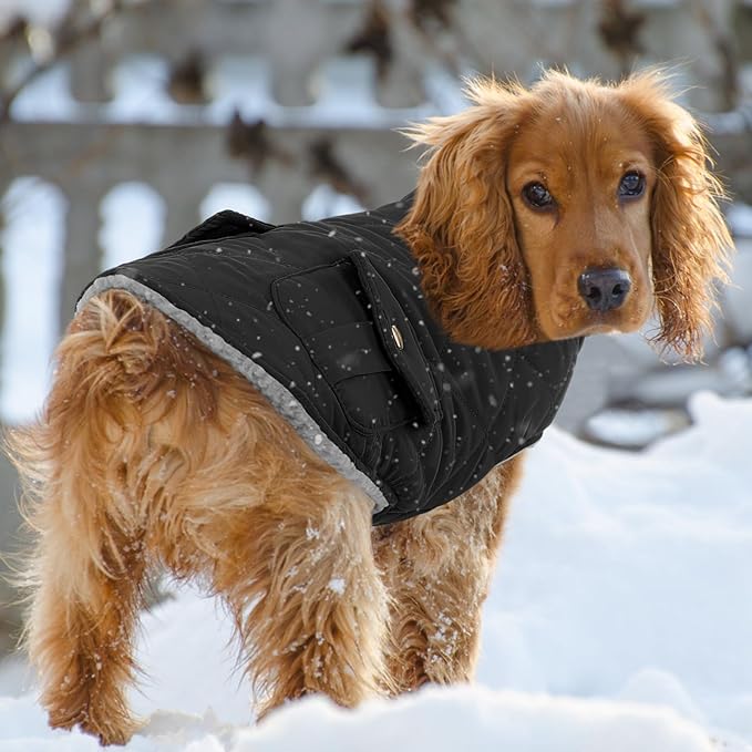 Queenmore Dog Winter Coat Warm Puffer Jacket Waterproof Plush Lining Thermal Cold Weather Vest for Small Medium Large Dogs, Windproof Easy On Pet Jacket Black S