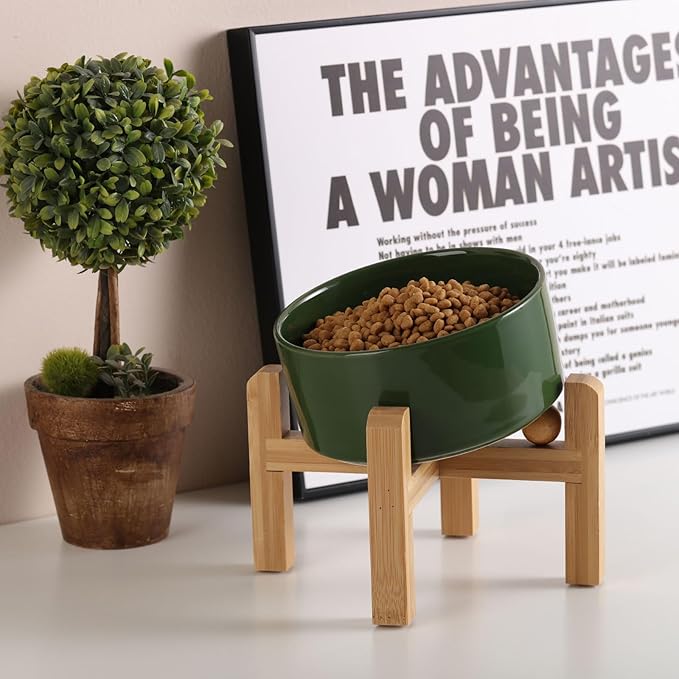 Petygooing Elevated/Raised 15°Slanted Ceramic Dog Bowl for Small and Medium Breeds, Tilted Anti Slip Pet Feeding Bowl,Food Water Dish with Stand for Cats and Dogs (28 OZ/3.6 Cups) Rust Green